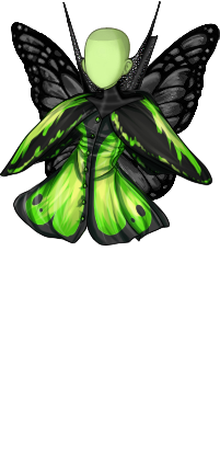 ButterfIy
