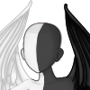 ButterfIy