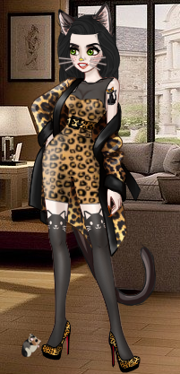 MeowNow