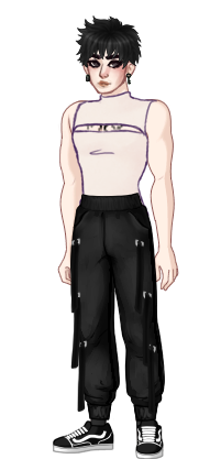 Markomeister