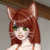 MeowNow