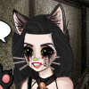 MeowNow