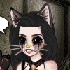 MeowNow