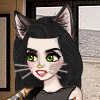 MeowNow