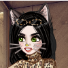 MeowNow