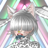 MeowNow