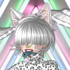 MeowNow