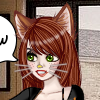 MeowNow
