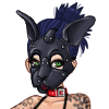 bobkitty