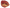Torrenoias Plump Lips Soft Red LPTR