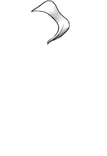 Melpomenes Fable Fashion Red Riding Hoods Cape White  Top for Layering Purposes