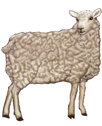Advent Calendar 2023 Melpomenes Aries Grown Ewe Sheep Background