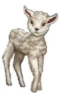 Advent Calendar 2023 Melpomenes Aries Little Lamb Sheep Foreground 