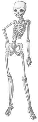 DiscoDominatrixs Undead Skin