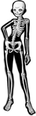 DiscoDominatrixs Undead Skin Blackout
