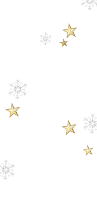 Advent Calendar 2023 Snowflakes And Stars