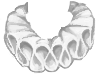 ChelseaDs Clown Ruff White